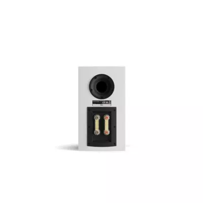 Dali Rubikore 2 Gloss White | Enceinte Bibliothèque Audiophile (paire) à Genève | Digistore.ch