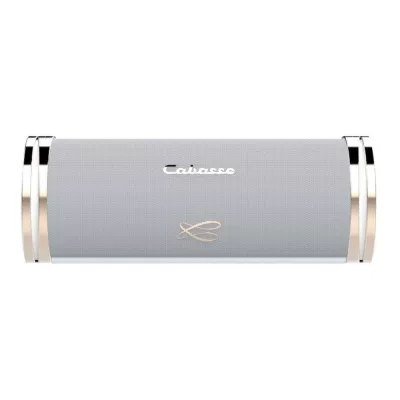 Cabasse The Swell White | Enceinte Haute-Fidélité Bluetooth Nomade à Genève | Digistore.ch