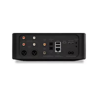 BlueSound Node Icon | Streamer musical de référence avec THX AAA et Dirac Live à Genève | Digistore.ch BlueSound Node Icon | Streamer musical de référence avec THX AAA et Dirac Live à Genève | Digistore.ch