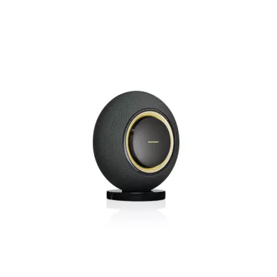 Marantz Horizon | Enceinte Sans Fil Haute Performance à Genève | Digistore.ch