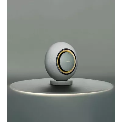 Marantz Horizon | Enceinte Sans Fil Haute Performance à Genève | Digistore.ch