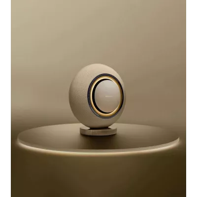 Marantz Horizon | Enceinte Sans Fil Haute Performance à Genève | Digistore.ch