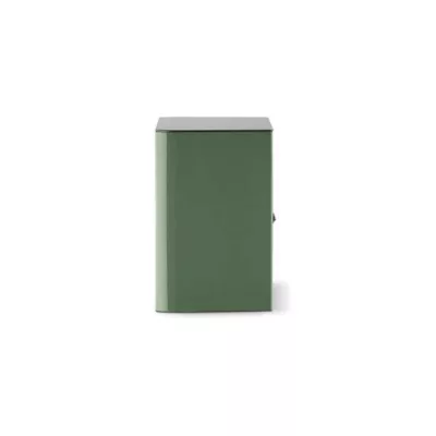 Naim Nait 50 + Focal Aria Evo X n°1 Moss Green à Genève | Digistore.ch