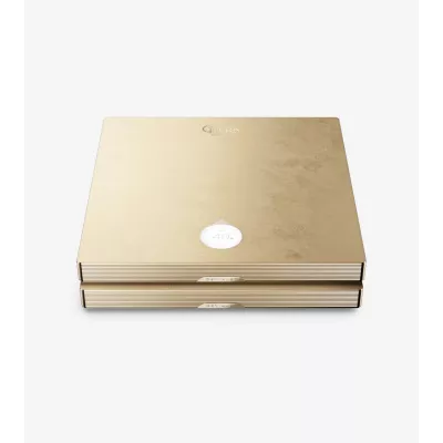 Devialet Astra Dual : Amplificateur 2x600W Haut de Gamme à Genève | Digistore.ch