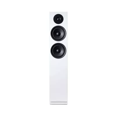 ARGON FORUS 55 : Enceintes Passives au Design Scandinave (Paire) à Genève | Digistore.ch