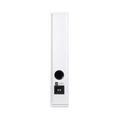 ARGON FORUS 55 : Enceintes Passives au Design Scandinave (Paire) à Genève | Digistore.ch
