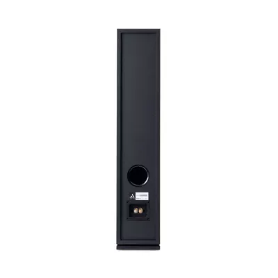 ARGON FORUS 55 : Enceintes Passives au Design Scandinave (Paire) à Genève | Digistore.ch