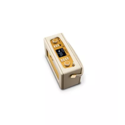 ROBERTS Revival iStream 3L – La Radio Vintage Connectée à Genève | Digistore.ch
