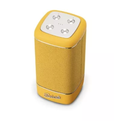 Roberts Beacon 325 L - Une Enceinte Bluetooth Élégante et Puissante à Genève | Digistore.ch