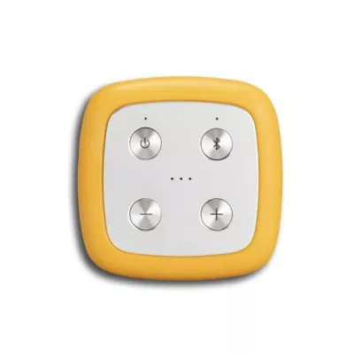 Roberts Beacon 325 L - Une Enceinte Bluetooth Élégante et Puissante à Genève | Digistore.ch