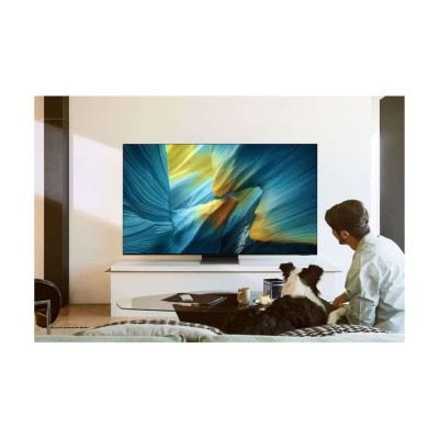 Samsung QE55S95FATXZU | TV 4K OLED avec IA | GARANTIE 6 ANS à Genève | Digistore.ch