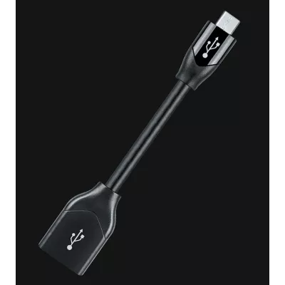 Audioquest DRAGON FLY DRAGONTAIL à Genève | Digistore.ch