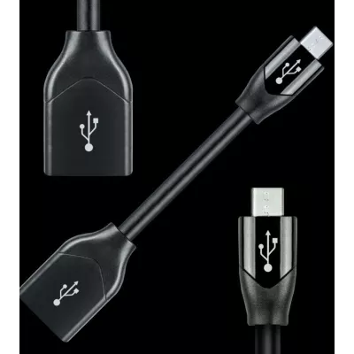 Audioquest DRAGON FLY DRAGONTAIL à Genève | Digistore.ch