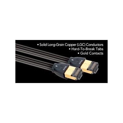 PEARL ETHERNET  Audioquest Digistore