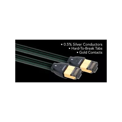FOREST ETHERNET  Audioquest Digistore