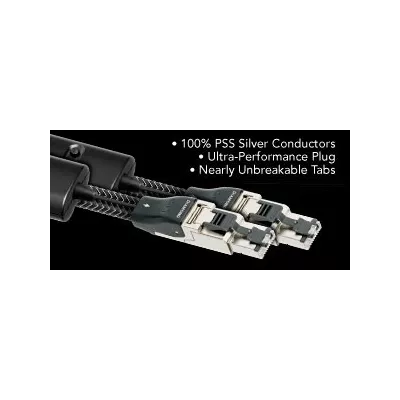 DIAMOND ETHERNET  Audioquest Digistore