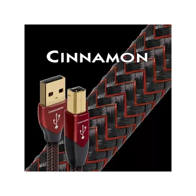 CINNAMON USB  Audioquest Digistore