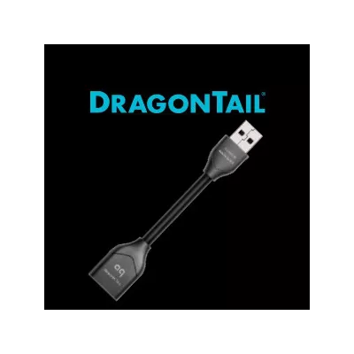 DRAGON FLY DRAGONTAIL  Audioquest Digistore