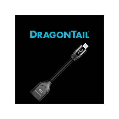 DRAGON FLY DRAGONTAIL  Audioquest Digistore