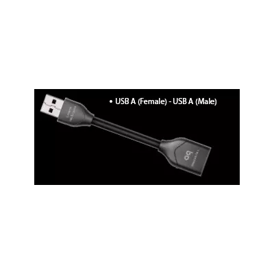 DRAGON FLY DRAGONTAIL  Audioquest Digistore