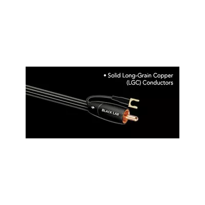 BLACK LAB  Audioquest Digistore