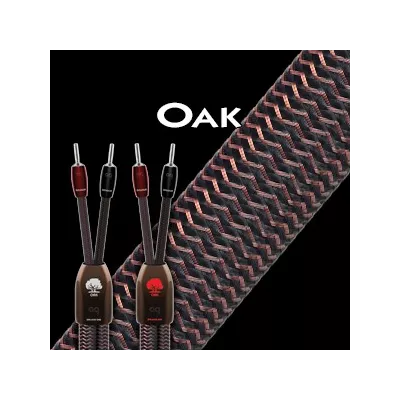 OAK - 0,5M SUPPLEMENTAIRE  Audioquest Digistore