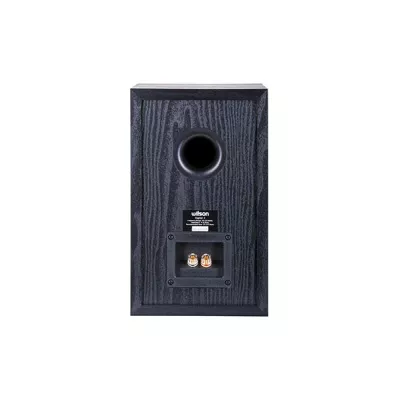 RAPTOR 3  Wilson Digistore