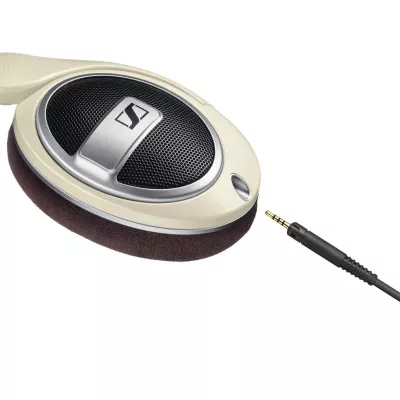 HD 599  Sennheiser Digistore