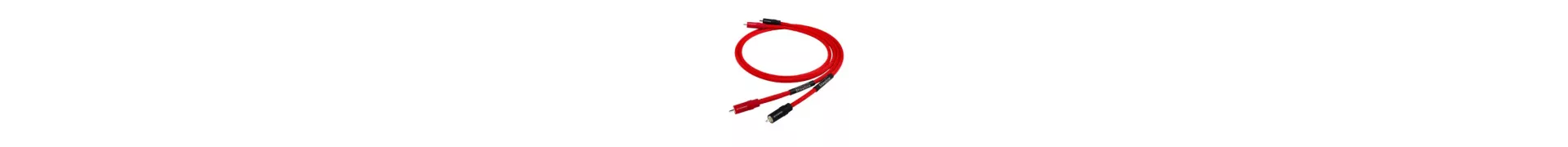 Câbles RCA & XLR
